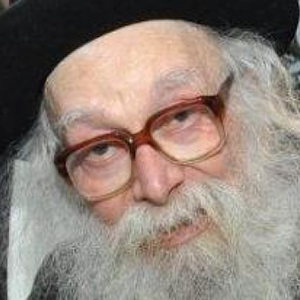 Rabbi Nissim Karlitz Shlita