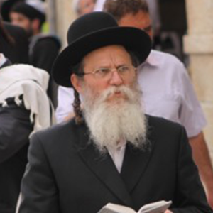 Rabbi Sariel Rosenberg Shlita